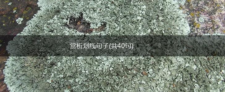 赏析划线句子(共40句),第1张