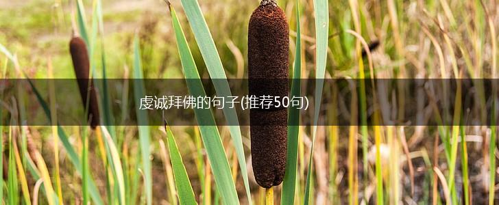 虔诚拜佛的句子(推荐50句),第1张