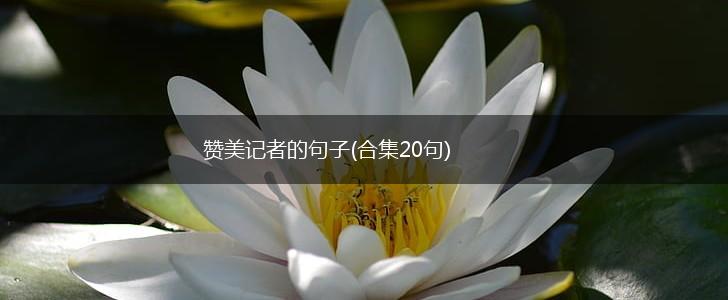 赞美记者的句子(合集20句),第1张