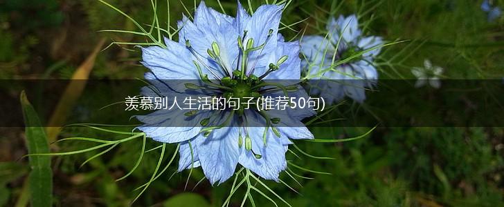 羡慕别人生活的句子(推荐50句),第1张