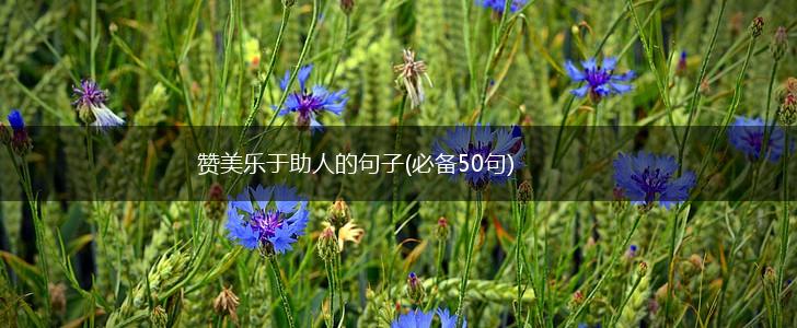 赞美乐于助人的句子(必备50句),第1张 赞美乐于助人的句子(必备50句),第1张