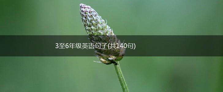 3至6年级英语句子(共140句),第1张