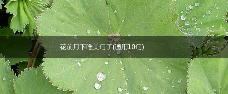花前月下唯美句子(通用10句),第1张