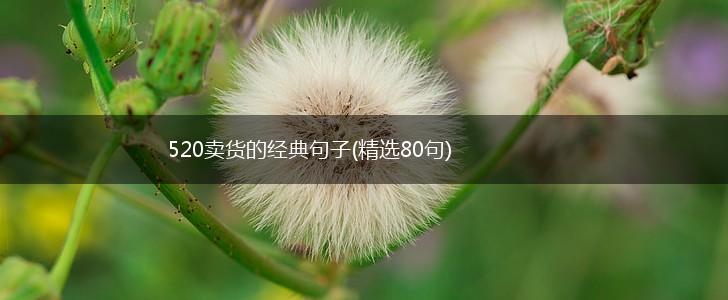 520卖货的经典句子(精选80句),第1张