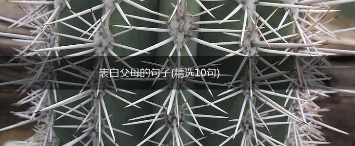 表白父母的句子(精选10句),第1张