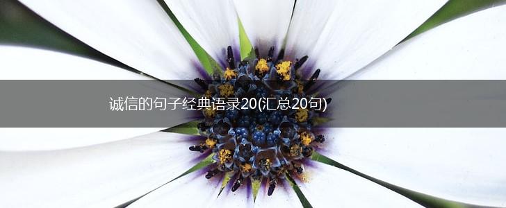 诚信的句子经典语录20(汇总20句),第1张