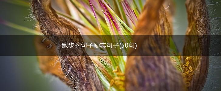 跑步的句子励志句子(50句),第1张