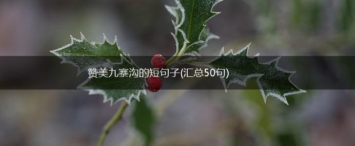 赞美九寨沟的短句子(汇总50句),第1张