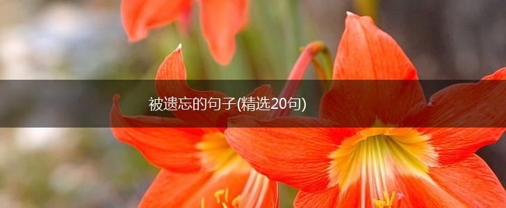 被遗忘的句子(精选20句),第1张