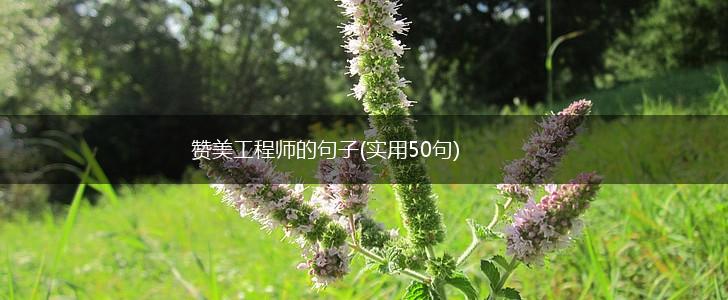 赞美工程师的句子(实用50句),第1张