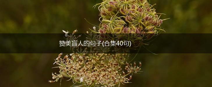 赞美盲人的句子(合集40句),第1张