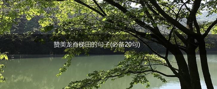 赞美龙脊梯田的句子(必备20句),第1张