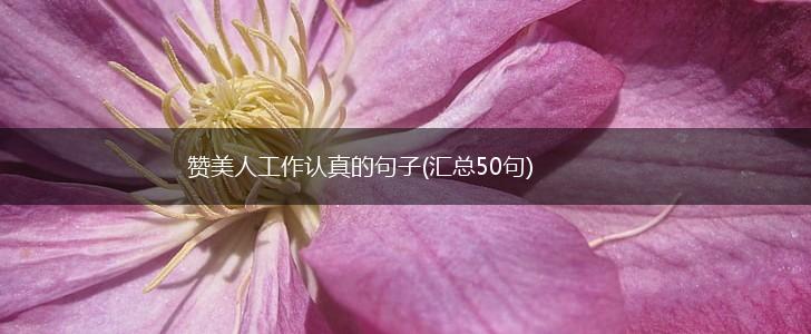 赞美人工作认真的句子(汇总50句),第1张