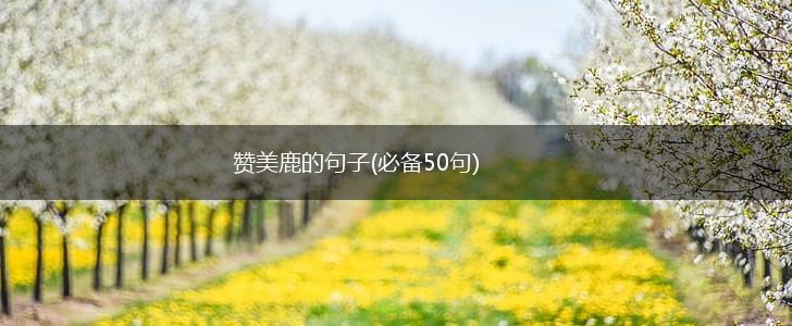 赞美鹿的句子(必备50句),第1张