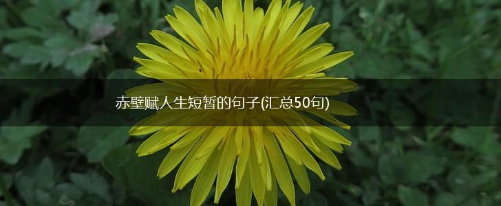 赤壁赋人生短暂的句子(汇总50句),第1张