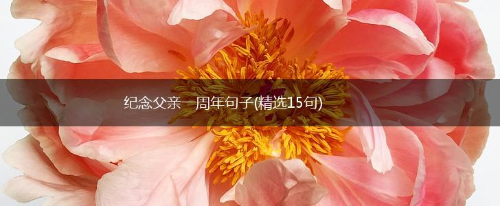 纪念父亲一周年句子(精选15句),第1张