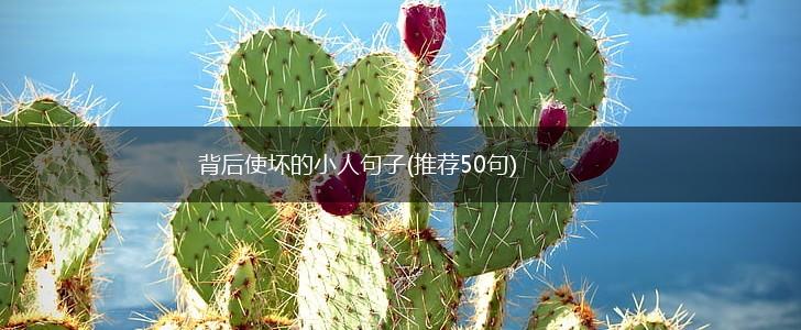 背后使坏的小人句子(推荐50句),第1张