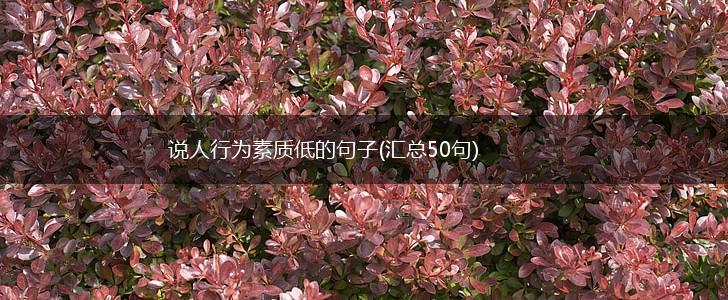 说人行为素质低的句子(汇总50句),第1张