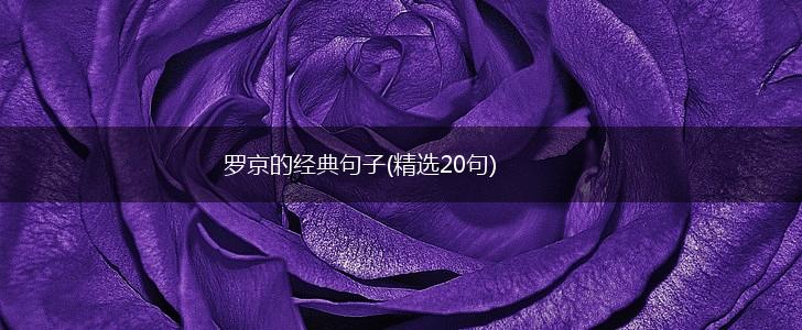 罗京的经典句子(精选20句),第1张