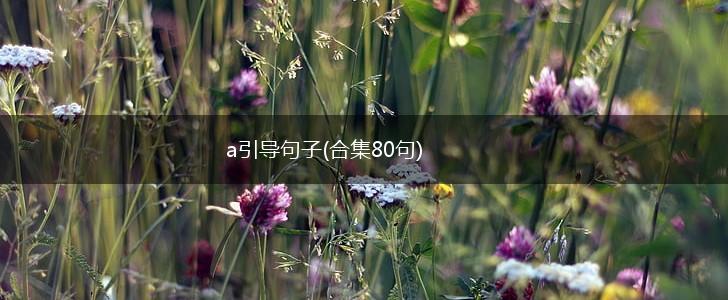 a引导句子(合集80句),第1张