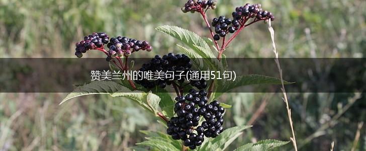 赞美兰州的唯美句子(通用51句),第1张