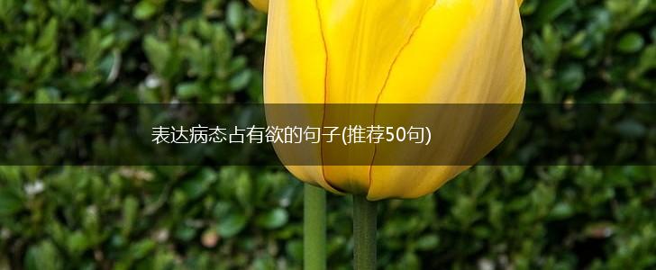 表达病态占有欲的句子(推荐50句),第1张