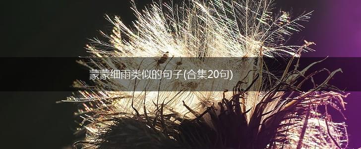 蒙蒙细雨类似的句子(合集20句),第1张