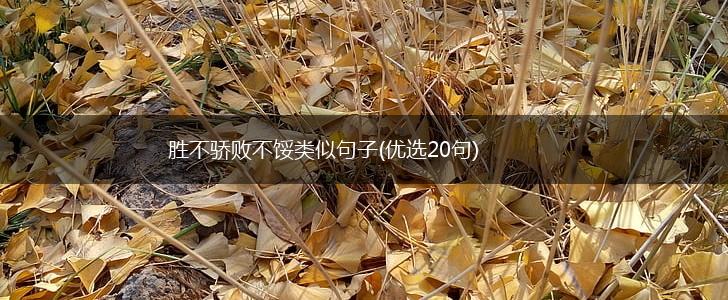 胜不骄败不馁类似句子(优选20句),第1张