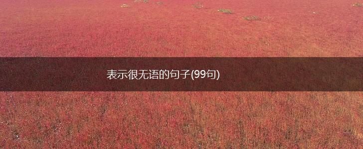 表示很无语的句子(99句),第1张