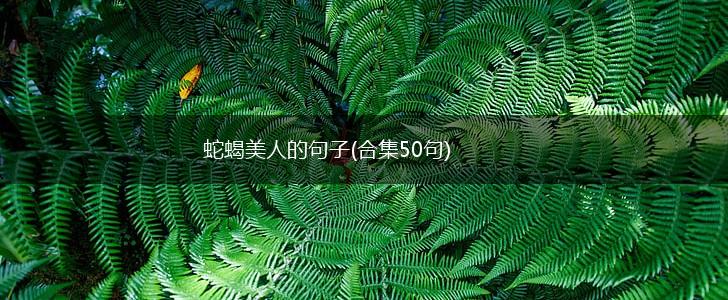 蛇蝎美人的句子(合集50句),第1张