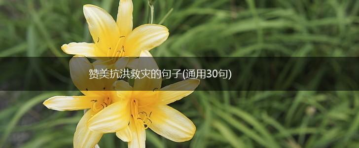 赞美抗洪救灾的句子(通用30句),第1张