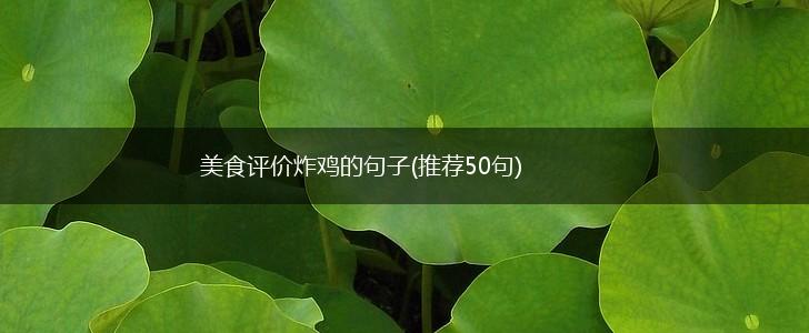 美食评价炸鸡的句子(推荐50句),第1张