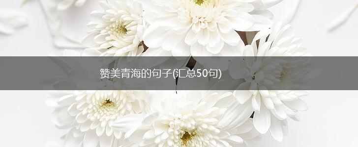 赞美青海的句子(汇总50句),第1张