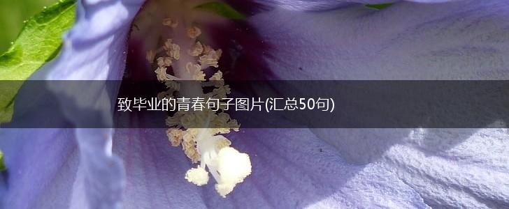 致毕业的青春句子图片(汇总50句),第1张 致毕业的青春句子图片(汇总50句),第1张