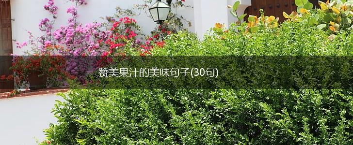 赞美果汁的美味句子(30句),第1张