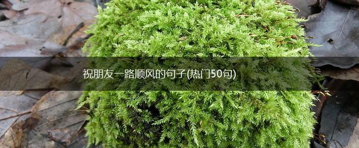祝朋友一路顺风的句子(热门50句),第1张