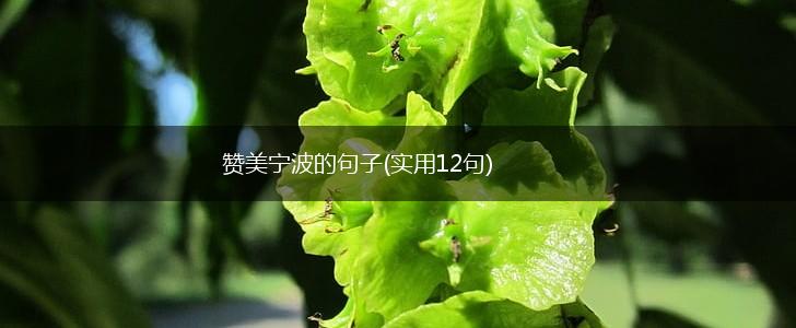 赞美宁波的句子(实用12句),第1张