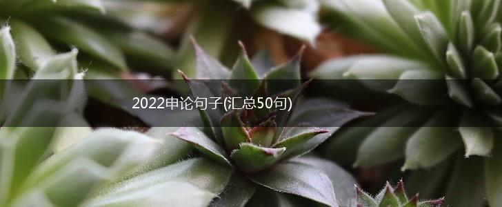 2022申论句子(汇总50句),第1张
