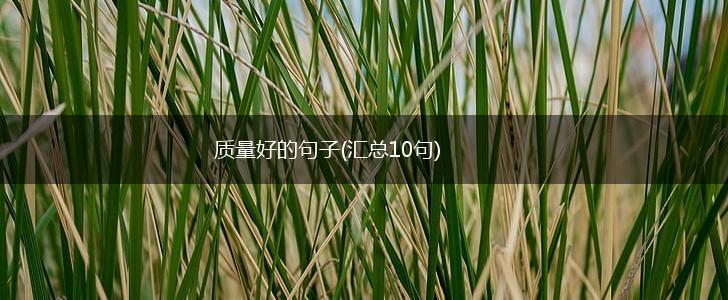 质量好的句子(汇总10句),第1张