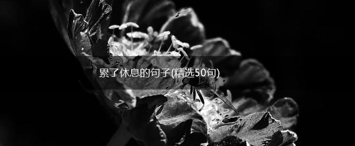 累了休息的句子(精选50句),第1张