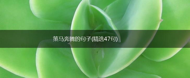 策马奔腾的句子(精选47句),第1张