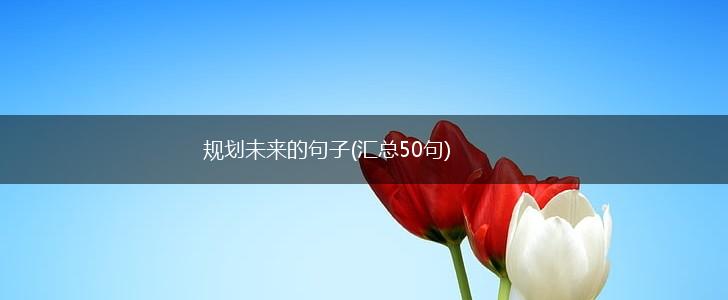 规划未来的句子(汇总50句),第1张