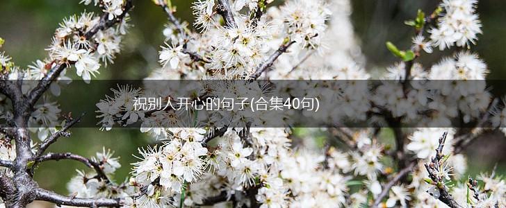 祝别人开心的句子(合集40句),第1张