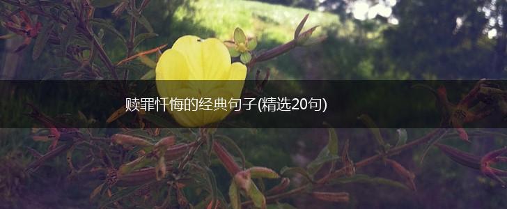 赎罪忏悔的经典句子(精选20句),第1张