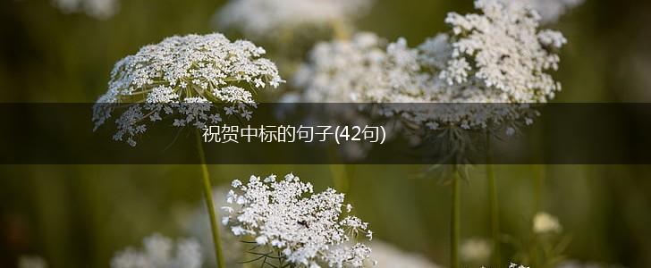 祝贺中标的句子(42句),第1张