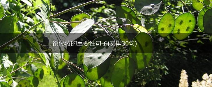 论化妆的重要性句子(实用30句),第1张