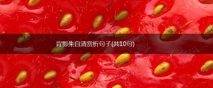 背影朱自清赏析句子(共10句),第1张