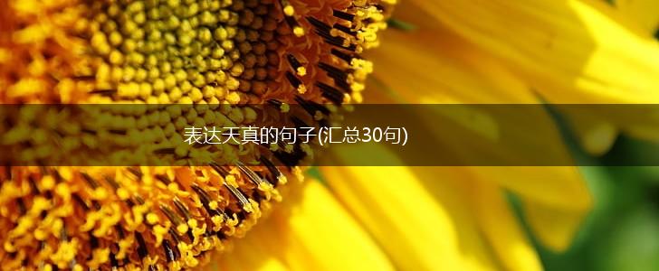 表达天真的句子(汇总30句),第1张