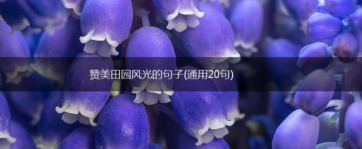 赞美田园风光的句子(通用20句),第1张