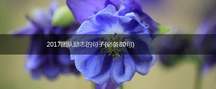 2017团队励志的句子(必备80句),第1张